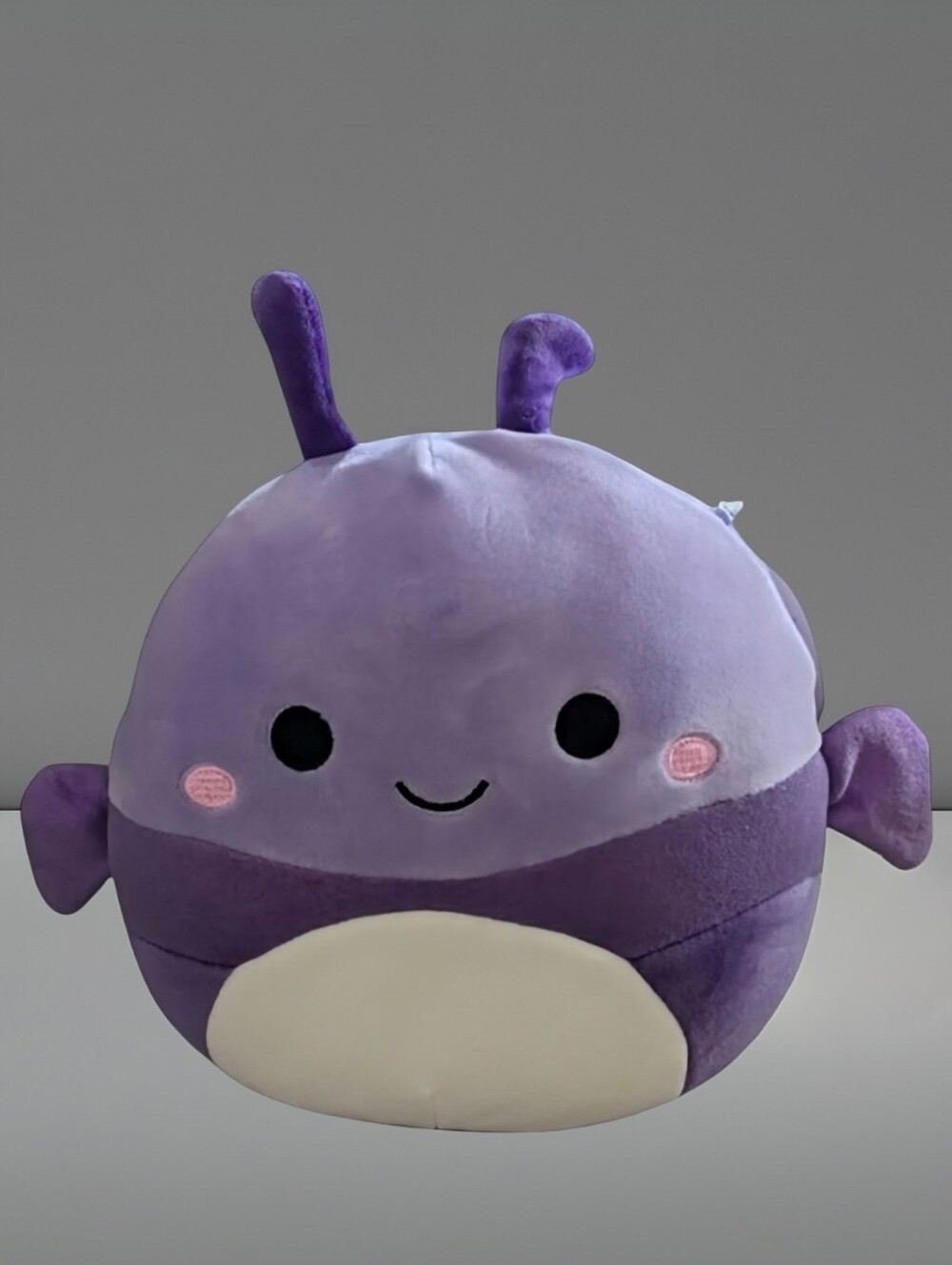 NEW Squishmallows Axel the Purple Beetle